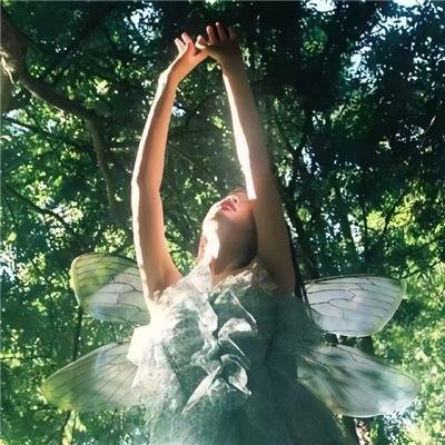 鲨鱼驱魔人2:不洁水域